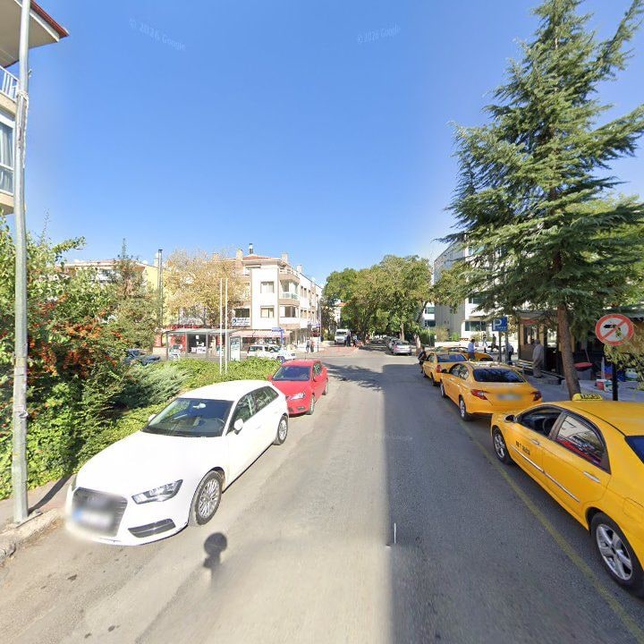Fotoğraf 11