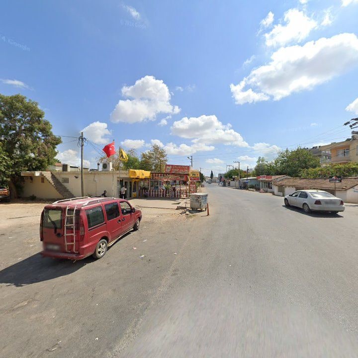 Fotoğraf 6