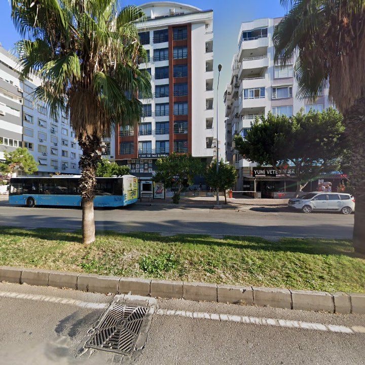 Fotoğraf 7