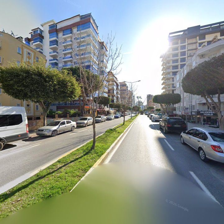 Fotoğraf 8