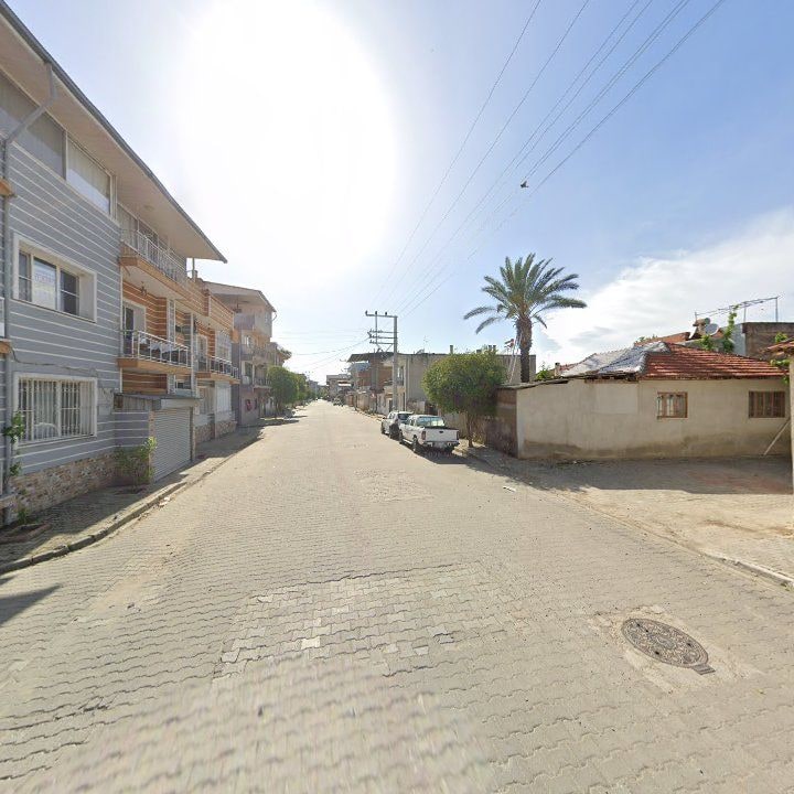 Fotoğraf 8