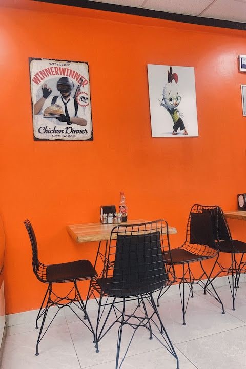 Toy Piliç