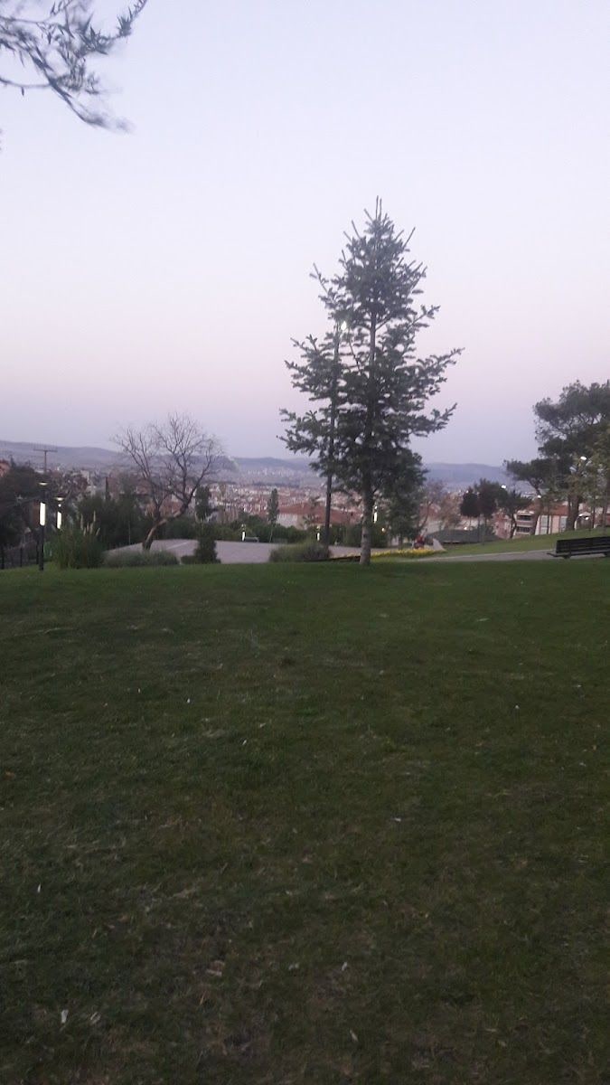 Toygar Ekmek Fırını