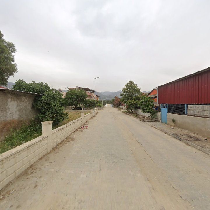 Fotoğraf 3