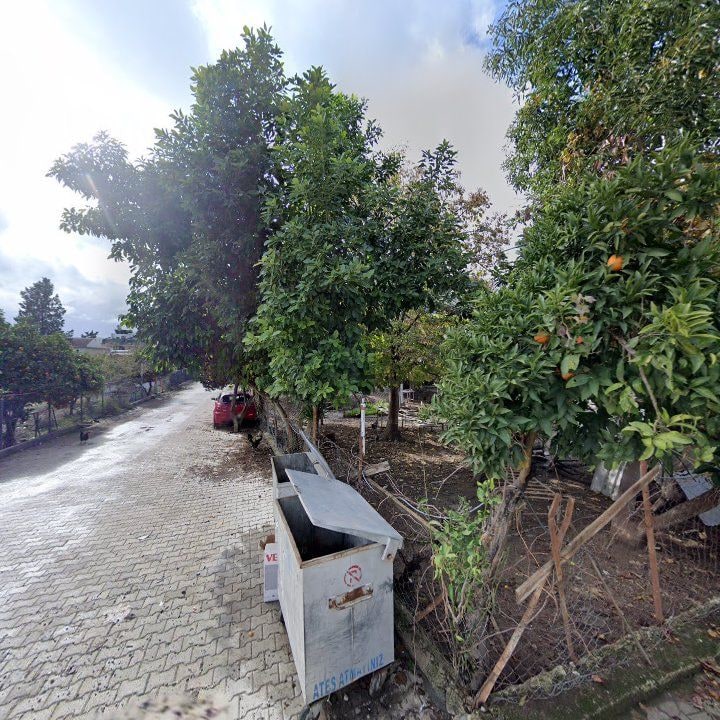 Fotoğraf 5