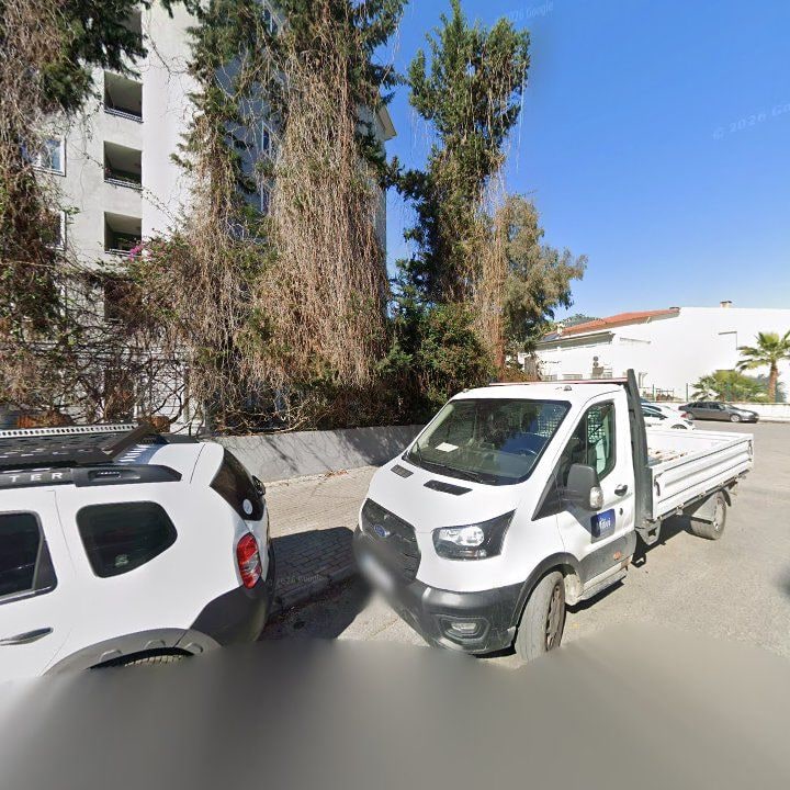 Fotoğraf 8