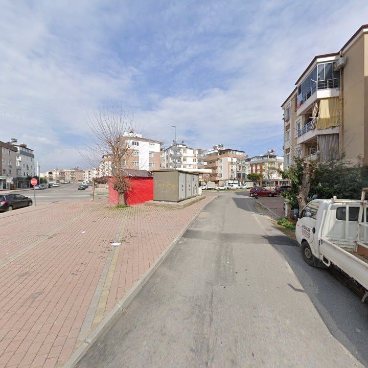 Fotoğraf 8
