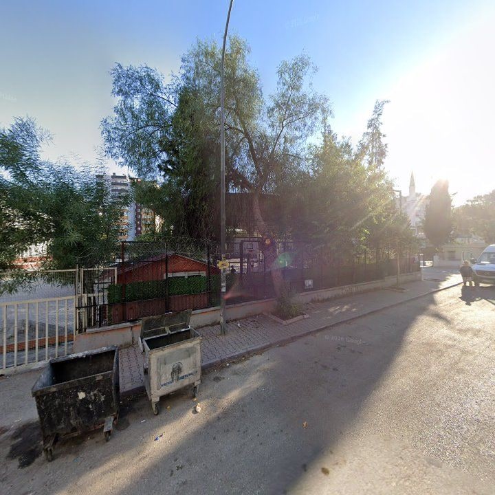 Fotoğraf 6