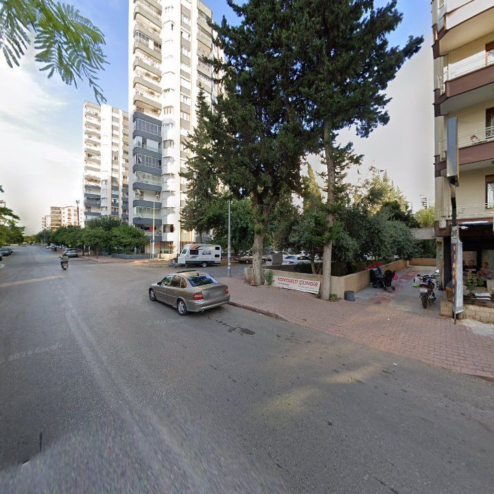 Fotoğraf 6