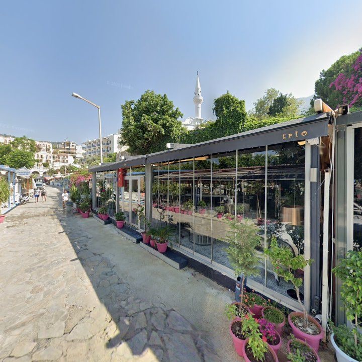 Fotoğraf 11