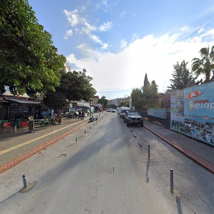 Fotoğraf 8