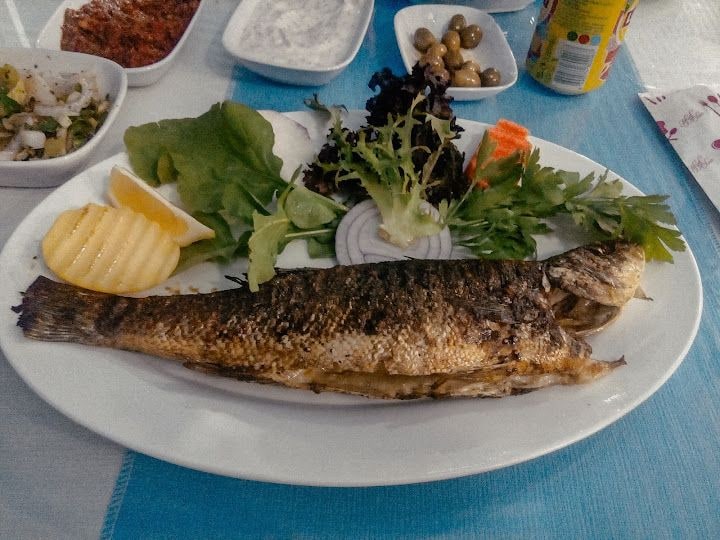 Fotoğraf 6