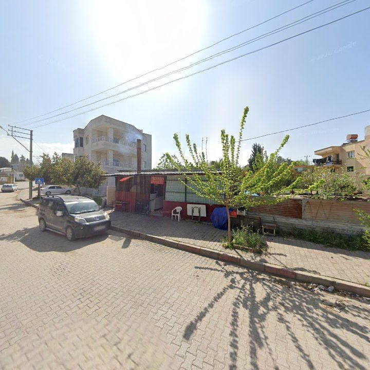 Fotoğraf 4