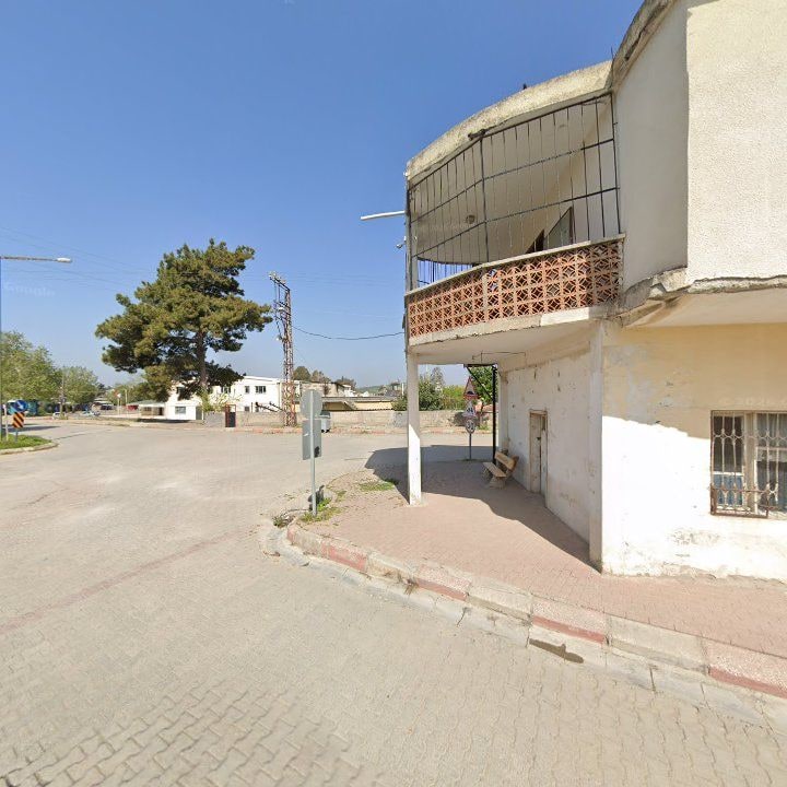 Fotoğraf 6