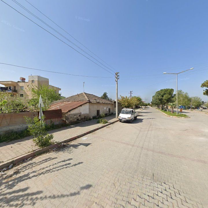 Fotoğraf 5