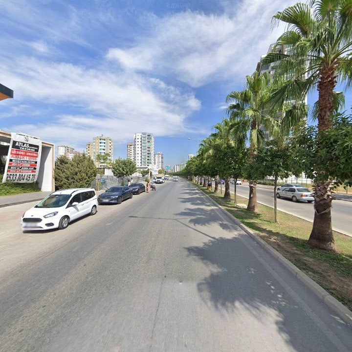 Fotoğraf 8