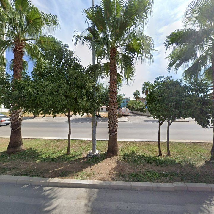 Fotoğraf 9