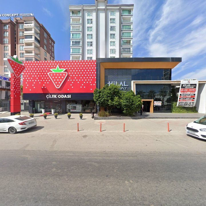 Fotoğraf 7
