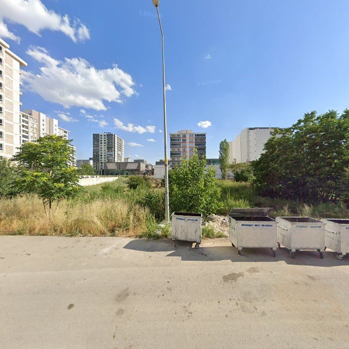 Fotoğraf 10