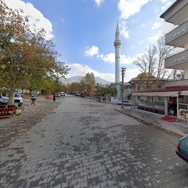 Fotoğraf 8