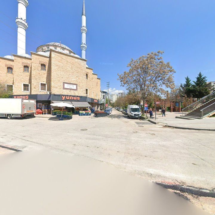 Fotoğraf 7