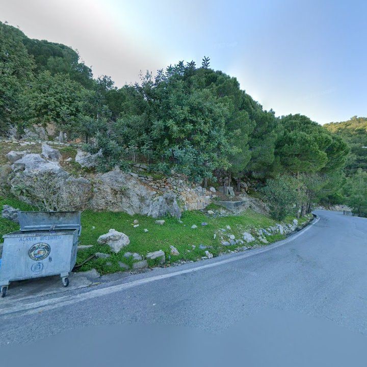 Fotoğraf 10