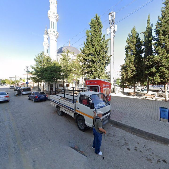 Fotoğraf 8