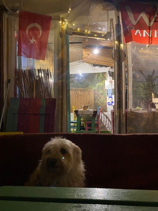 Fotoğraf 2