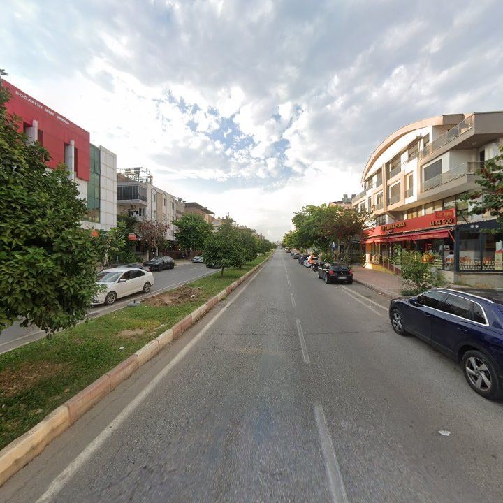 Fotoğraf 8