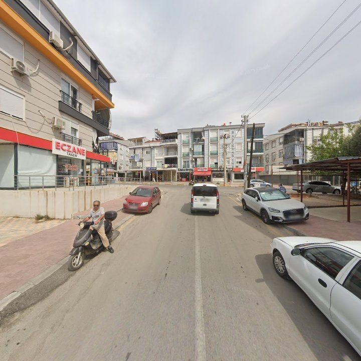Fotoğraf 8