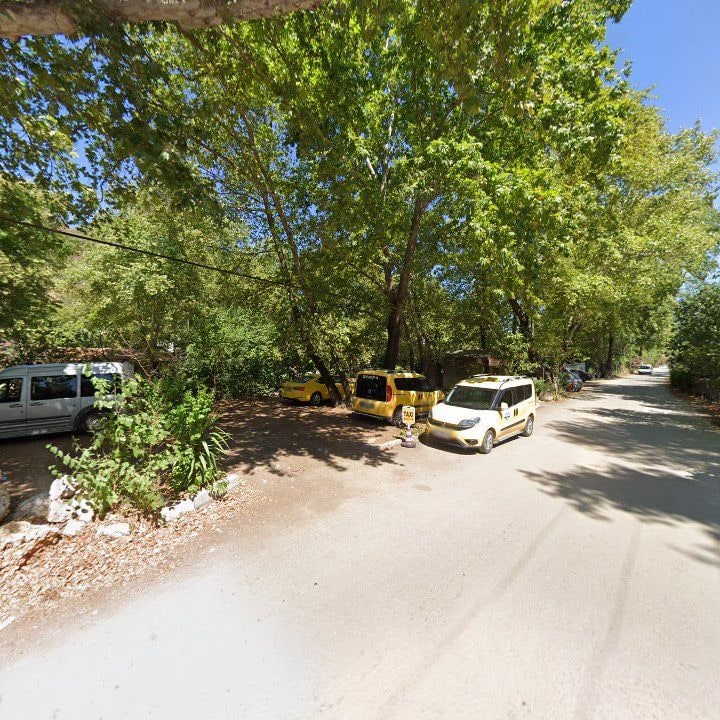 Fotoğraf 11