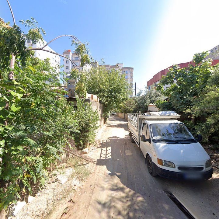 Fotoğraf 4