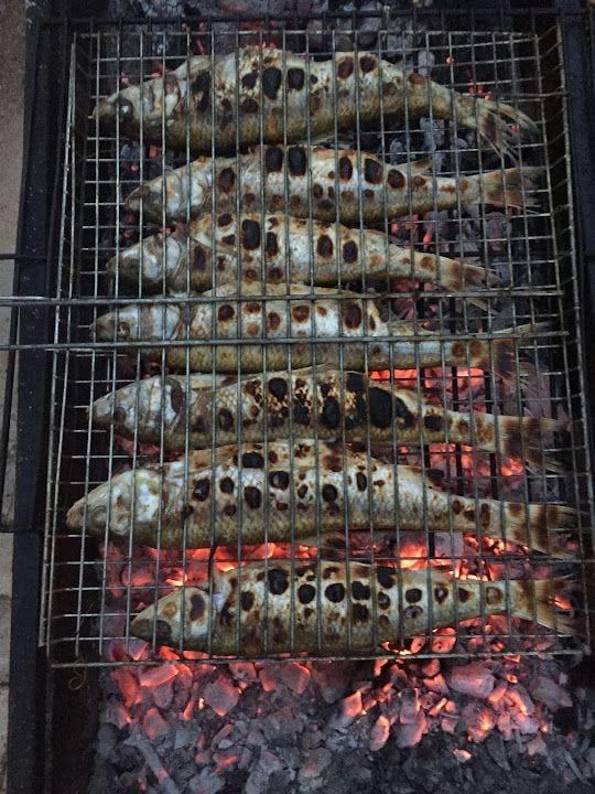 Turker Restaurant & Camping & Pansion