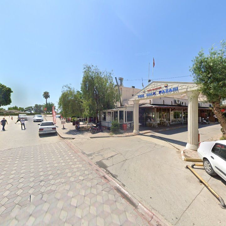 Fotoğraf 6