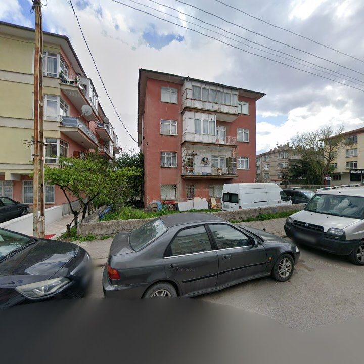 Fotoğraf 6