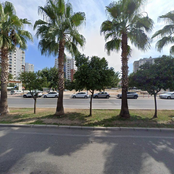 Fotoğraf 7
