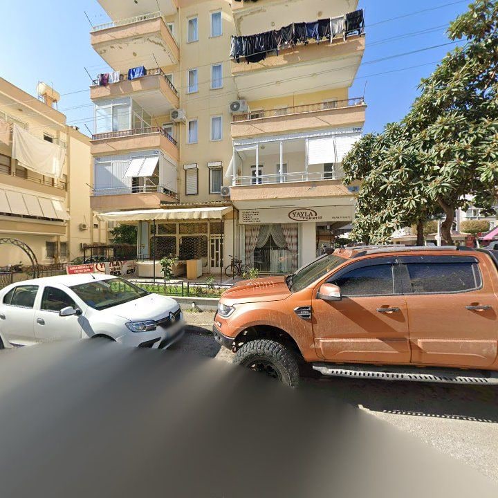 Fotoğraf 8