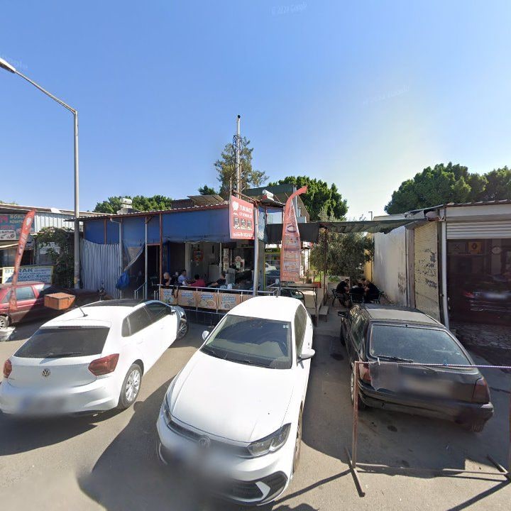 Fotoğraf 8