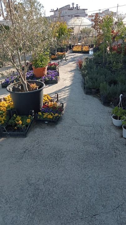 Tüter Garden