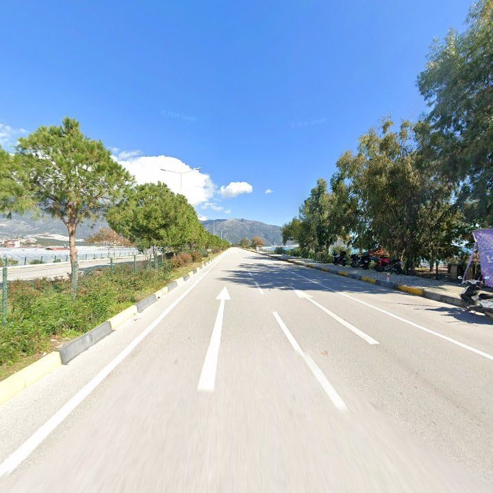 Fotoğraf 13
