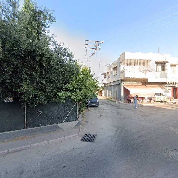Fotoğraf 9
