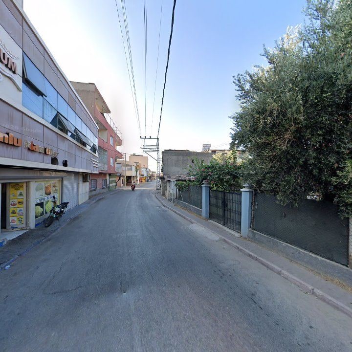 Fotoğraf 8