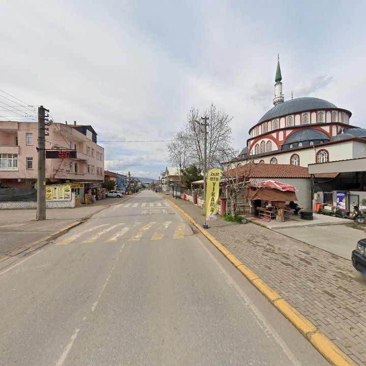 Fotoğraf 5