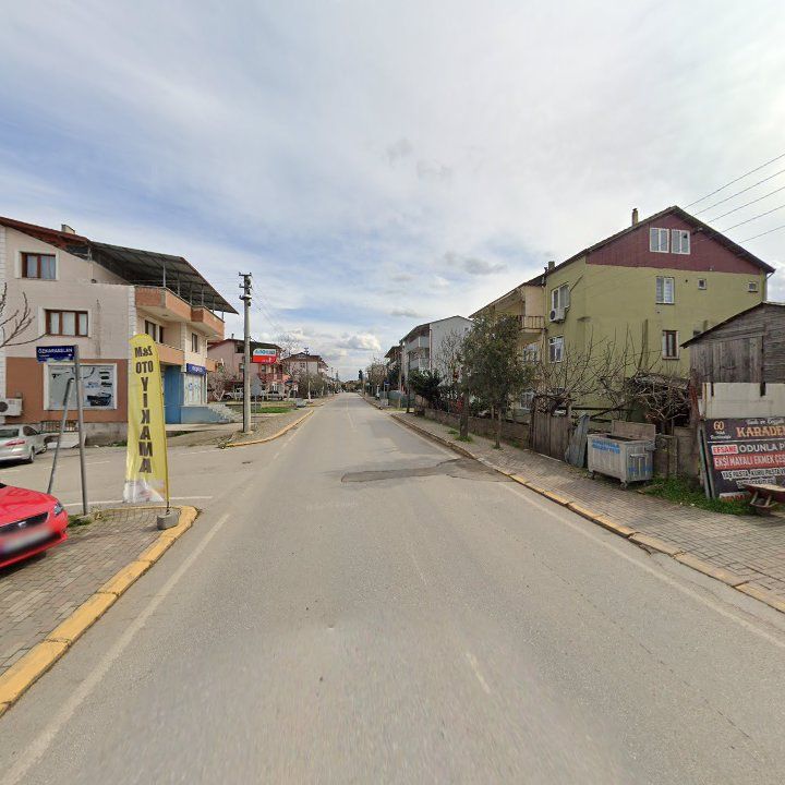 Fotoğraf 7