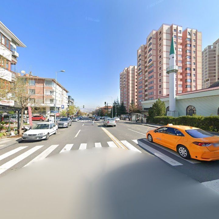 Fotoğraf 9