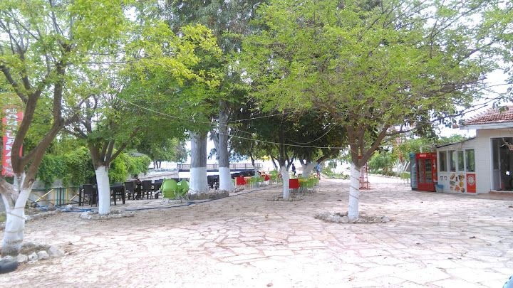 Uçak Aile Çaybahçesi