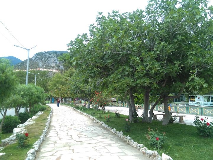 Fotoğraf 5