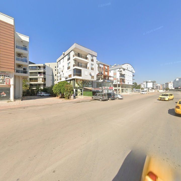 Fotoğraf 11