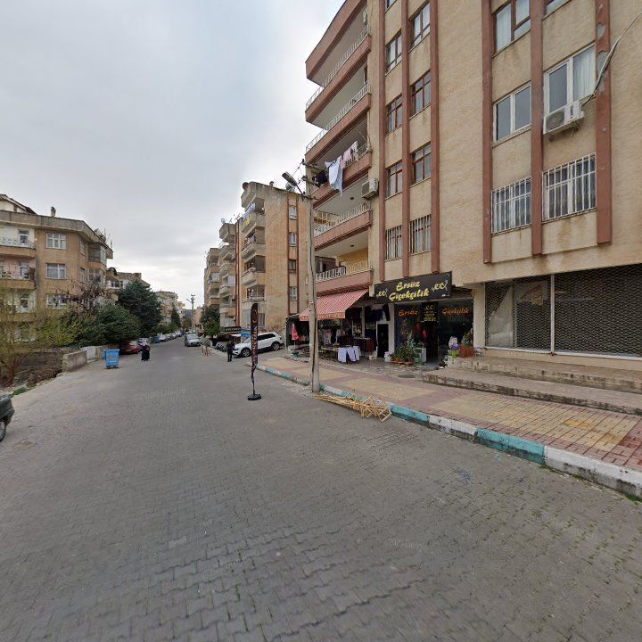 Fotoğraf 10