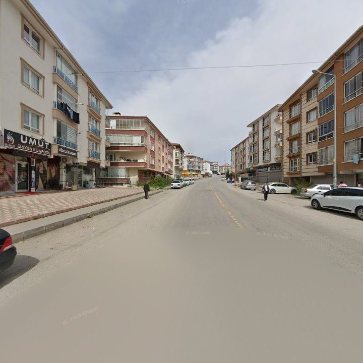 Fotoğraf 7